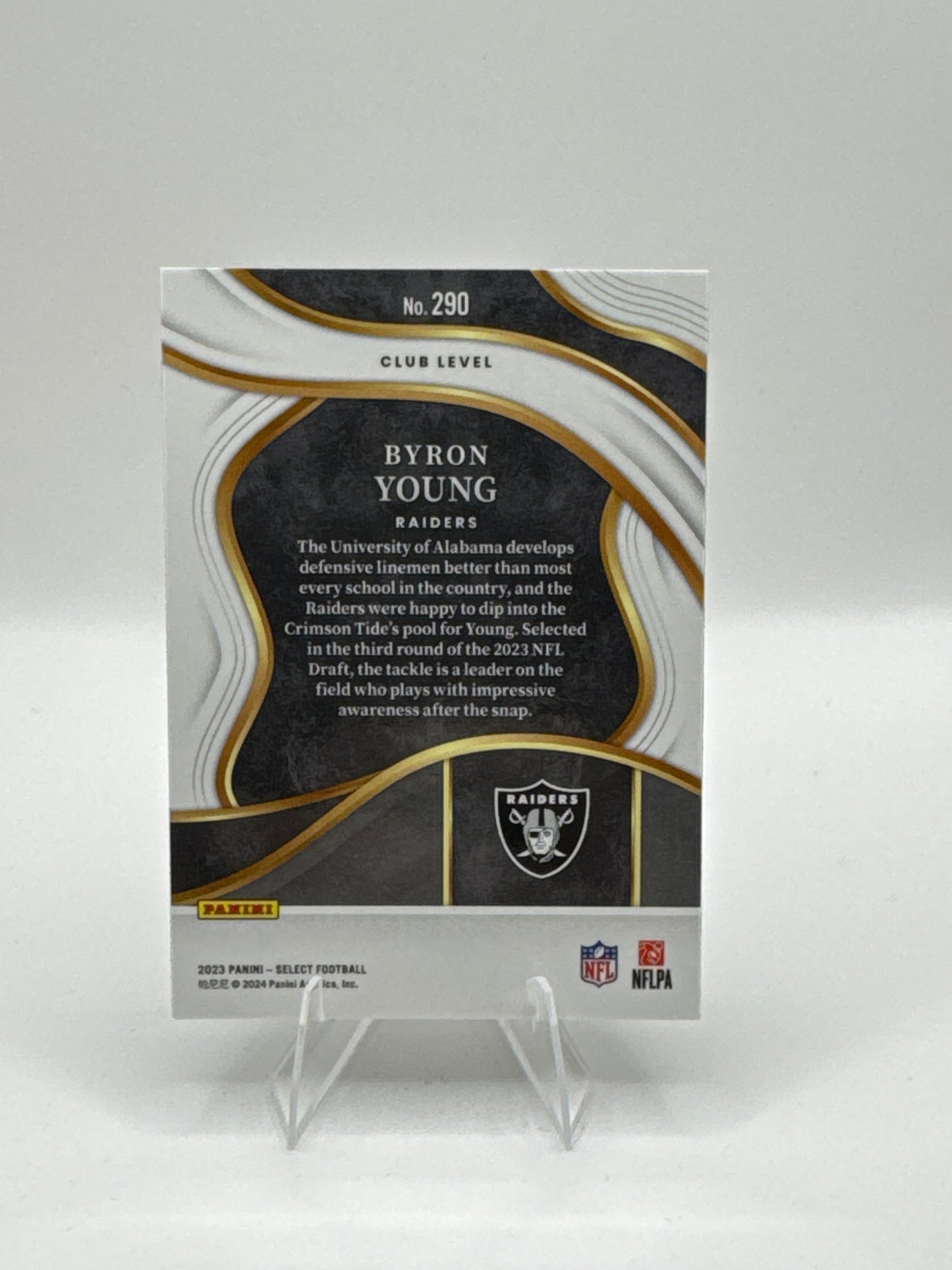 Bryon Young (Rookie) #290